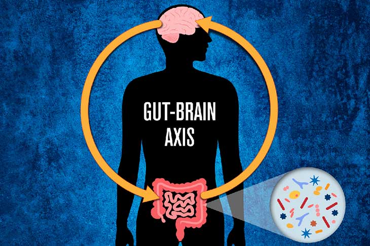 Asse intestino-cervello e peso corporeo